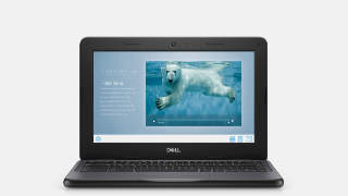 Dell Chromebook 3100 picture