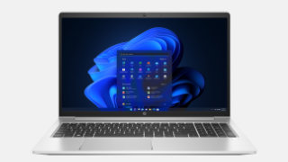 HP ProBook 455 G9 picture