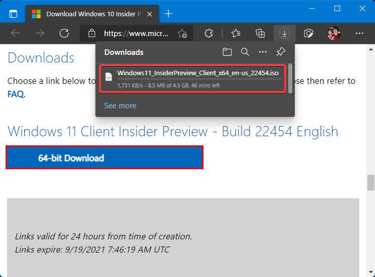 Windows 11 ISO is downloading