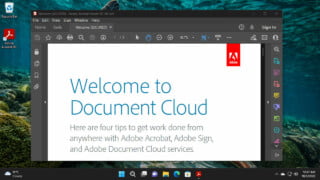 Adobe Acrobat Reader DC on Windows 11